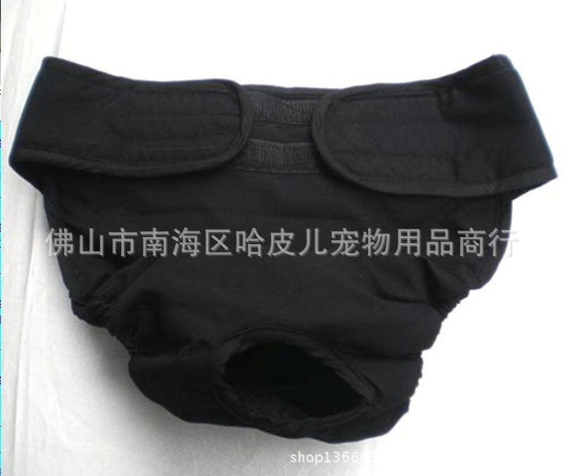 DPP-1 (1PET PANTS)