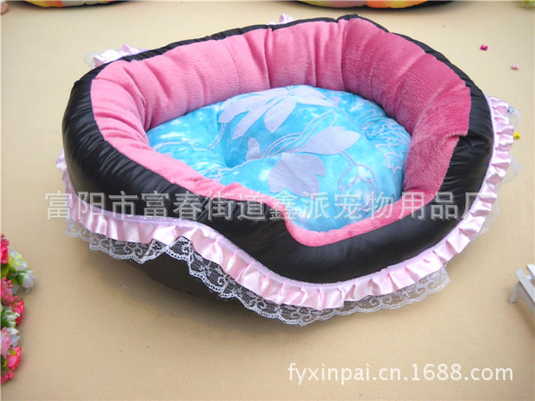 DSCN2465