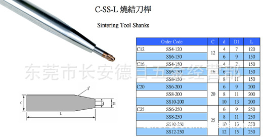 CSSL2S1