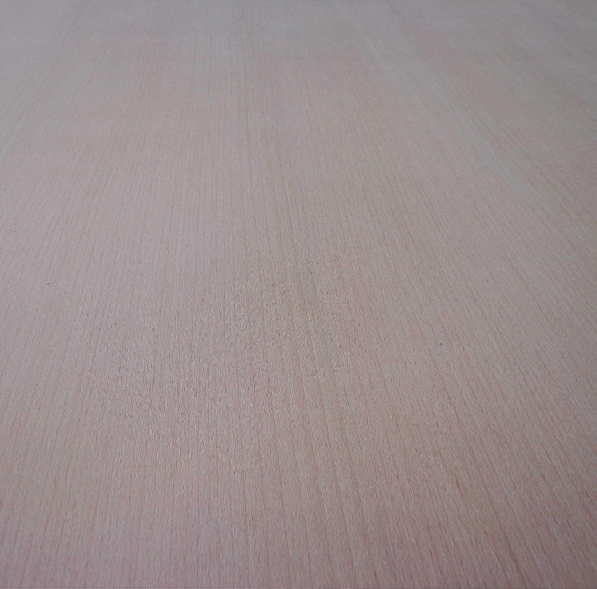 直榉贴面板直观