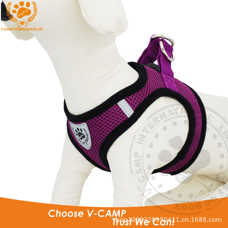 VP-HC1106 Purple
