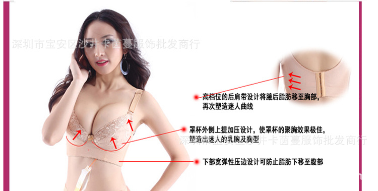 泰麗短胸罩_09