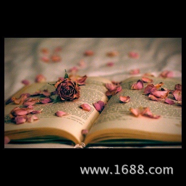 【冬夜诗画】当爱已成往事