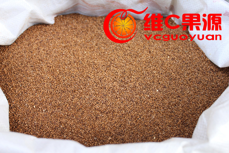 水果种子、种苗-猕猴桃种子 猕猴桃籽 当年洗猕