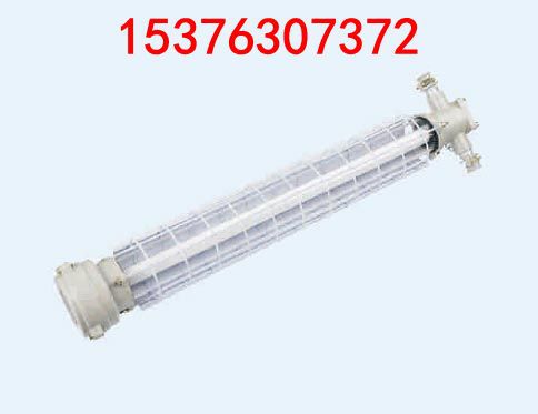 dgs-20 127y(a)矿用隔爆型防爆荧光灯