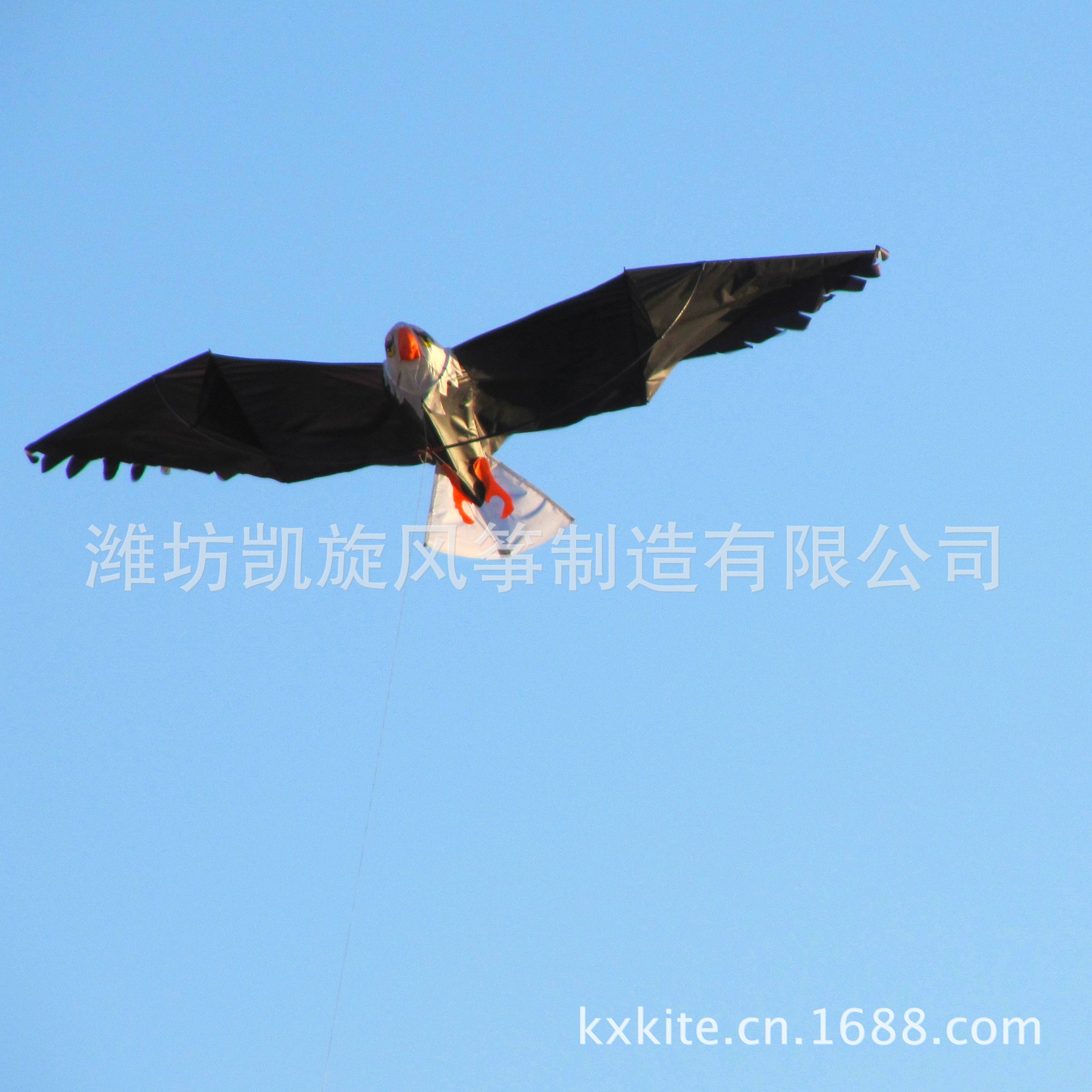 的动态鹰风筝 近年来,我们随着企业规格的不断扩大,调整了内部结构