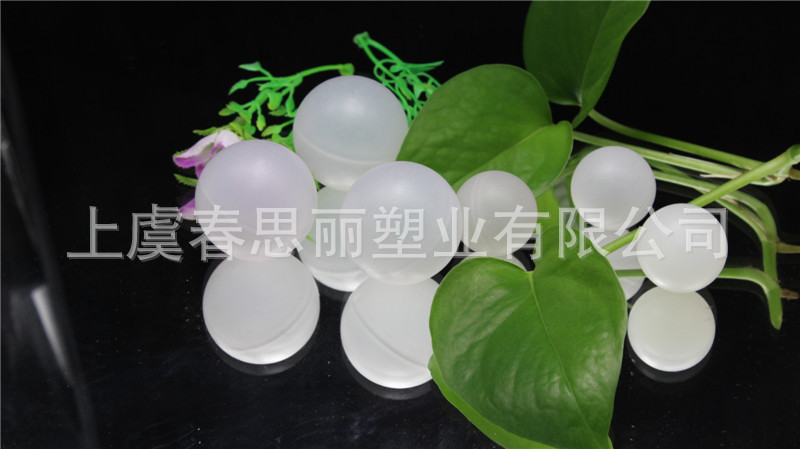 照片 077