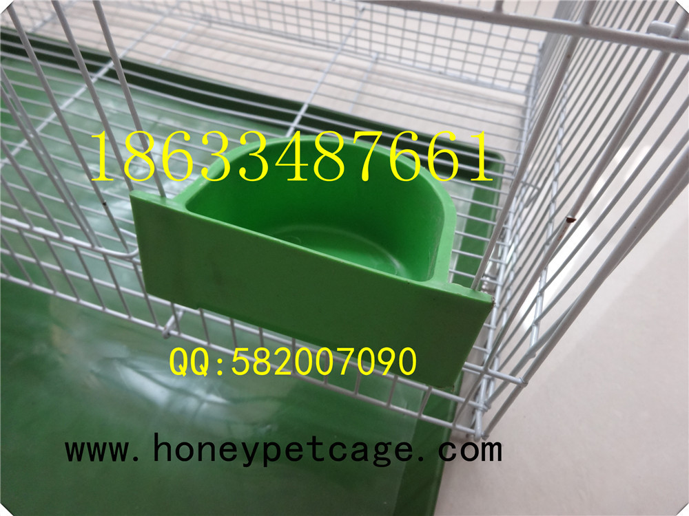 铁丝鸟笼 小群 (1)