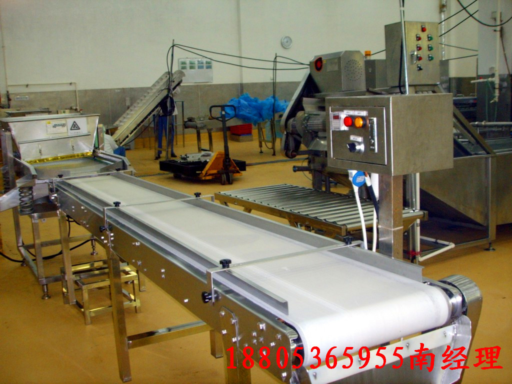 传送带-各类非标传送带均可定制