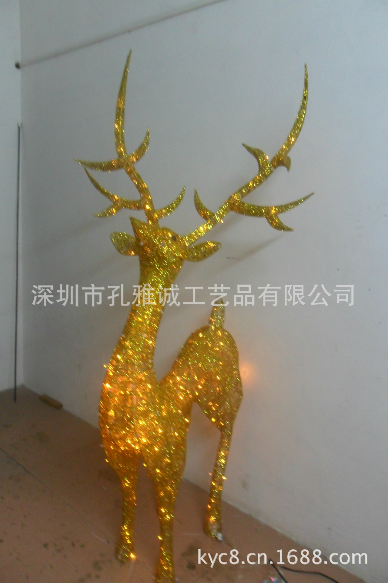 旋轉 SAM_4854