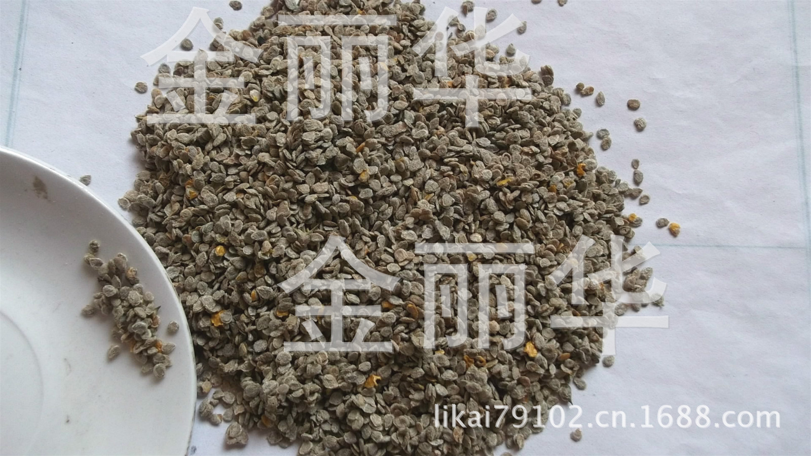 批发供应 番茄籽 水洗番茄籽