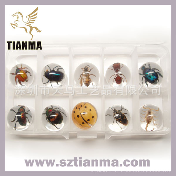 TM0002S