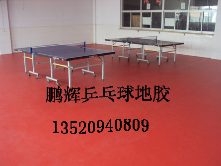 乒乓球2216111518副本