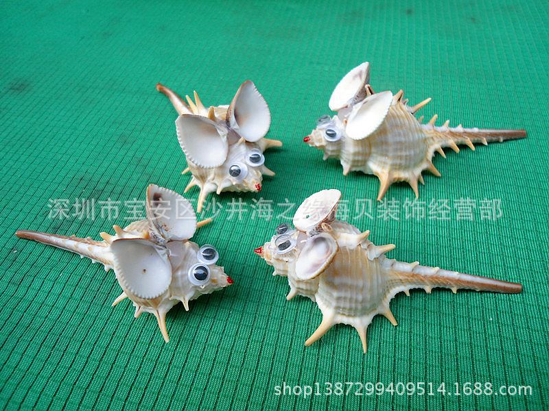 厂家直销海螺小老鼠/手工制作贝壳/贝壳 工艺品设计贝壳小工艺品