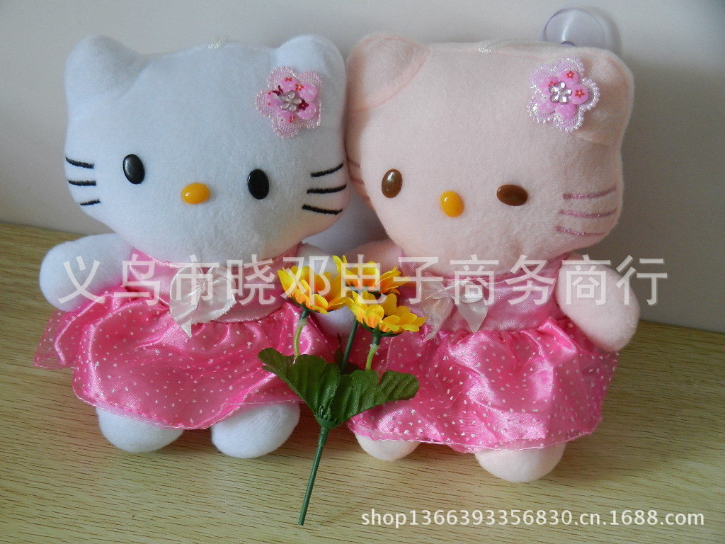 DSCN0616