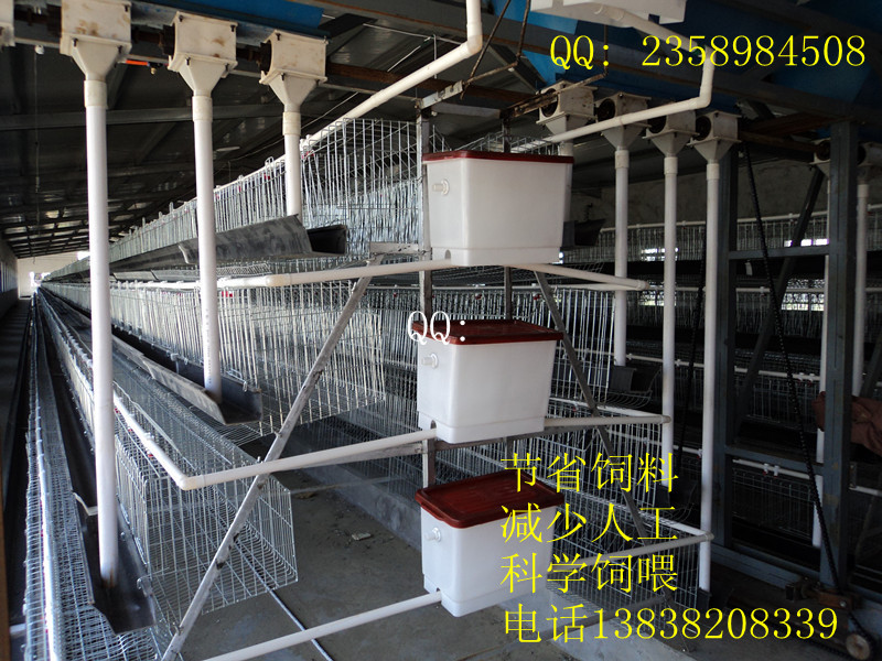 DSC01484_副本_副本