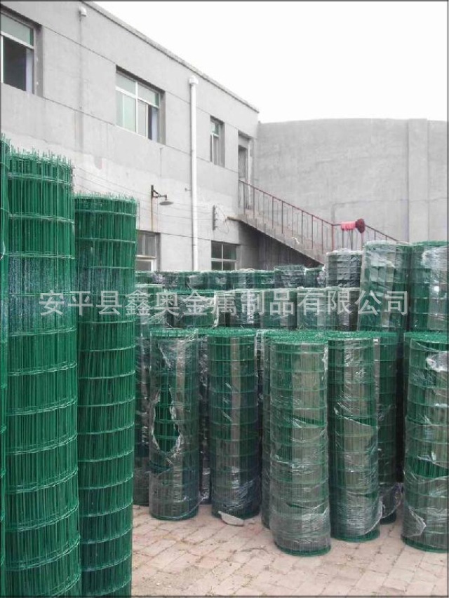 荷兰网