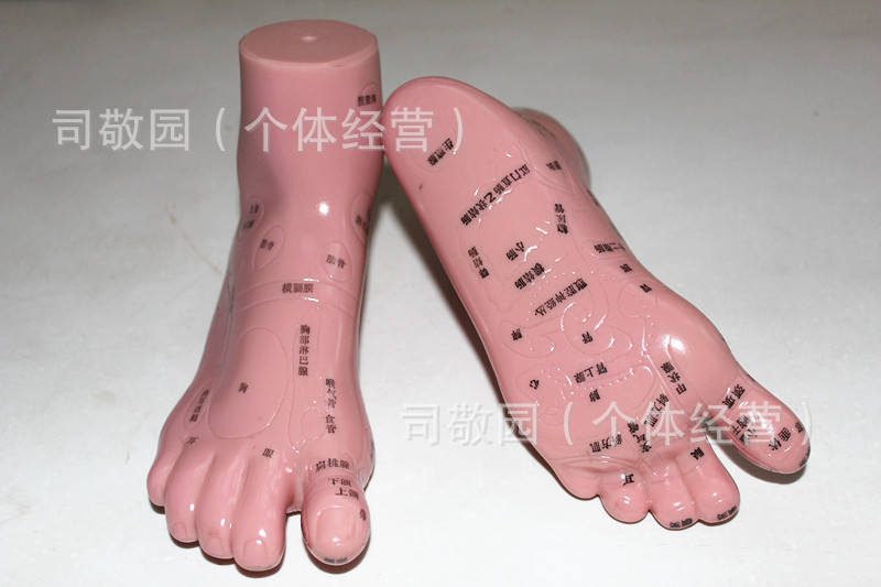 照片 24141_副本