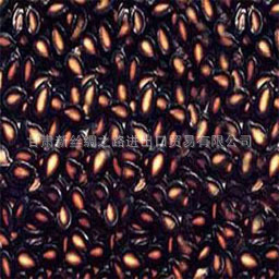 生瓜子-优质供应 大板黑瓜子订单产销 引进绿色