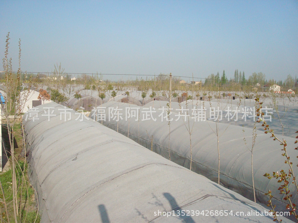 【【喜丰特供】9丝 10丝厚塑料薄膜 大棚膜 农