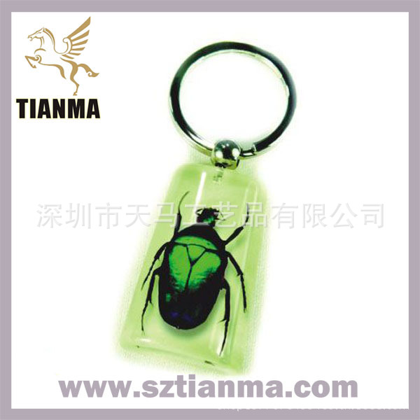 insect-keychain---acrylic-ambe