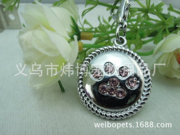 conew_dscn0110