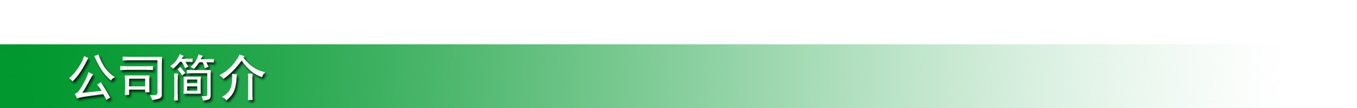 公司简介