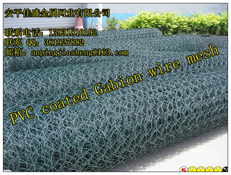 %WFPEKU5)2FBJF0T0Q[BO$N_副本