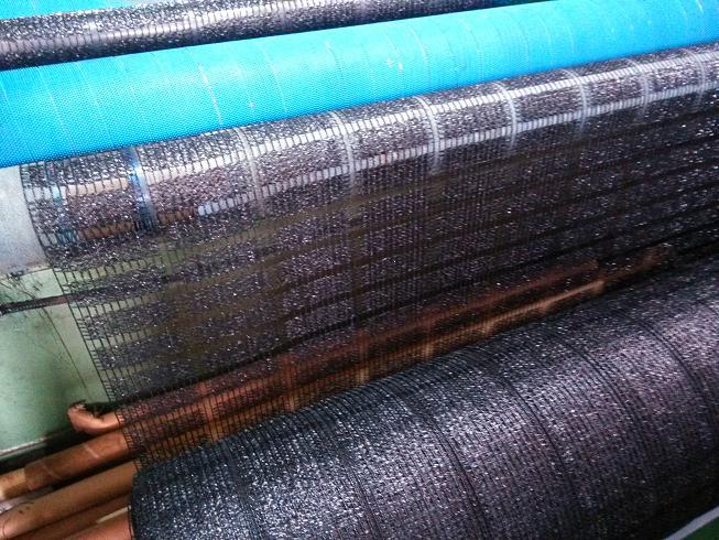 阳网-三七遮阳网再次迎来订购高峰,要买好网,就