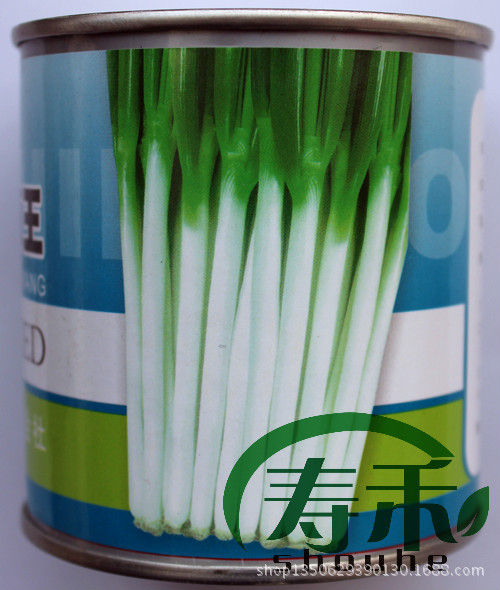 【日本铁杆葱王 寿光主要出口内销大葱品种 高