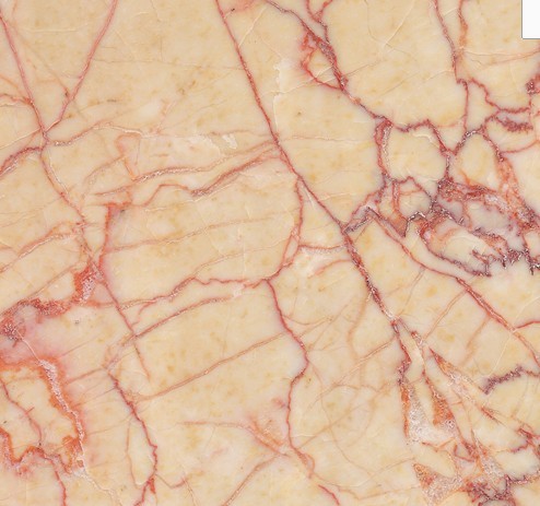 ca52a97350a44b4909ca8050ac0ab8