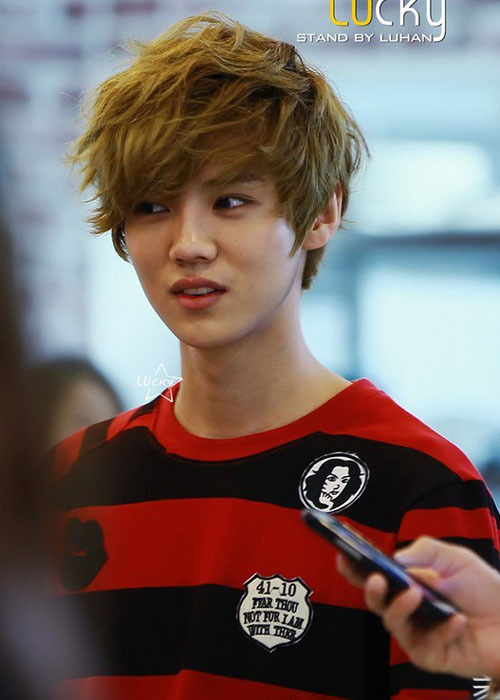 2012秋冬新EXO组合<em>白贤</em>可爱小蜜蜂条纹卫衣