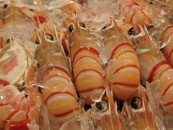 小龙虾-大量收购鲜活小龙虾--求购产品详情