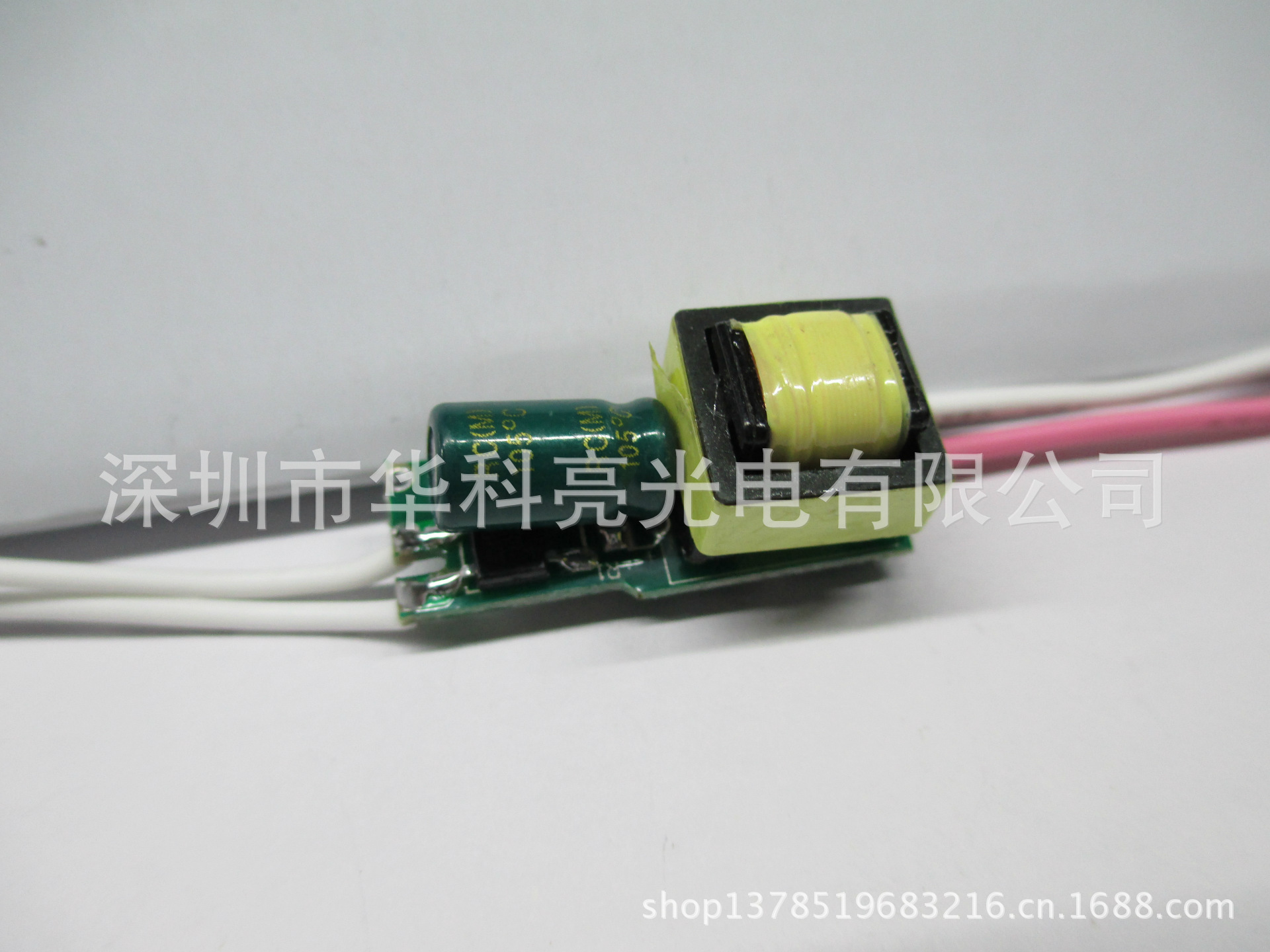 照片 309