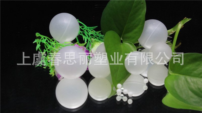 照片 071