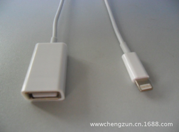ipad mini讀卡器