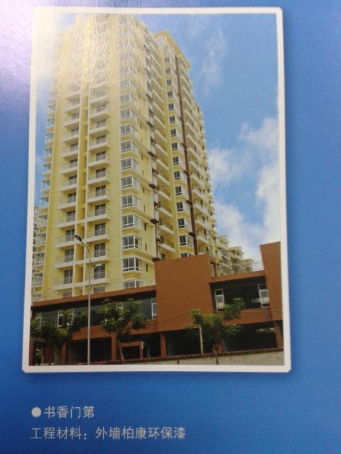 柏康外墙环保漆