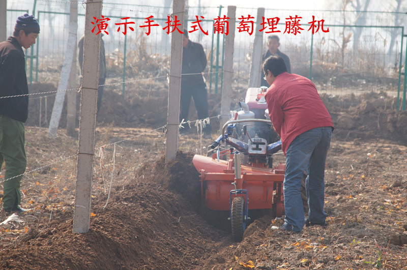 王答乡召开葡萄埋藤机现场演示会 _pcnj16882013 - 阿里巴巴博客