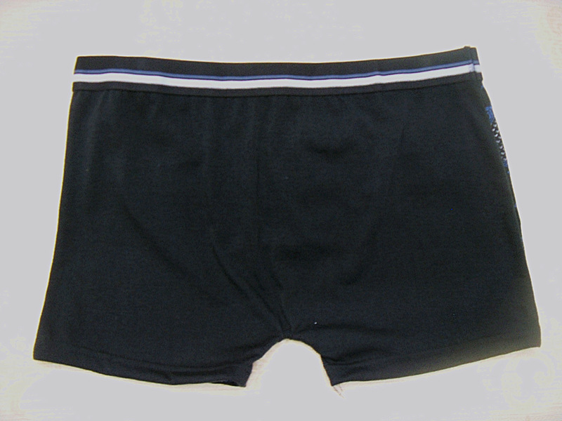 SDC19867_副本