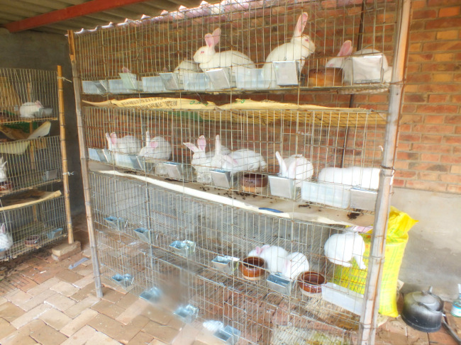 【加粗\/加密\/4层24位兔笼 兔子笼 商品兔笼 养殖兔笼 肉兔笼】价格,厂家,图片,宠物食具,蠡县辛兴镇欣欣绒线经销部-马可波罗网