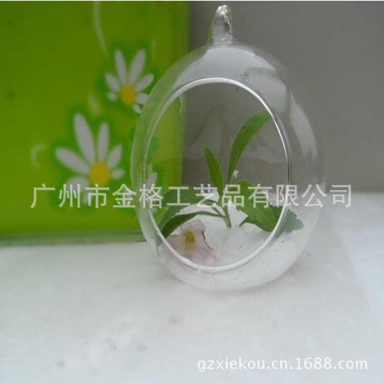 水培4