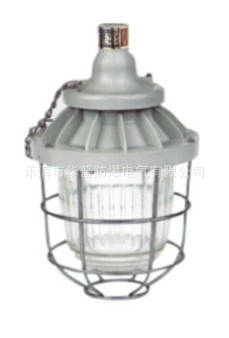 ccd防爆灯