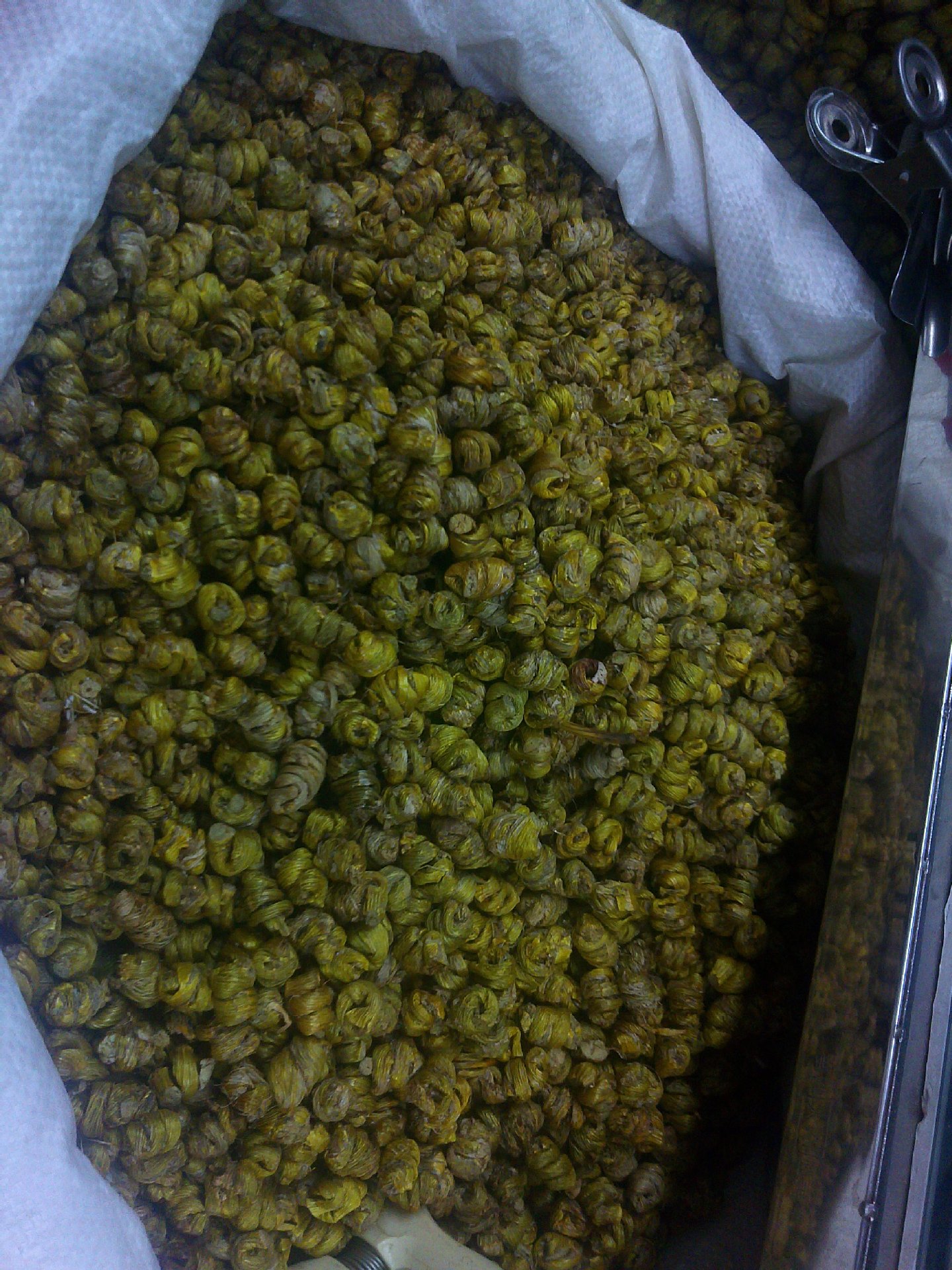 石槲 销售 68 ----580元一斤图片,石槲 销售 68 ----580元一斤图片大全,龙才霞-马可波罗网