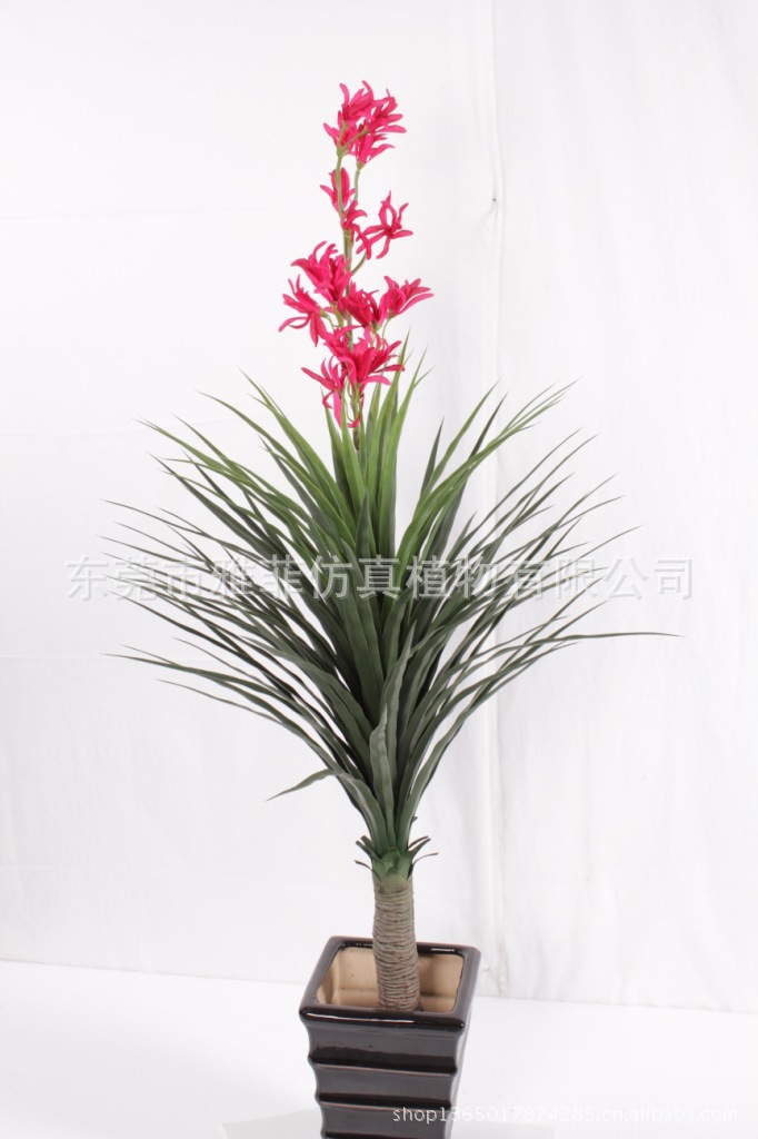 SJA0981 单头铁叶 150CM