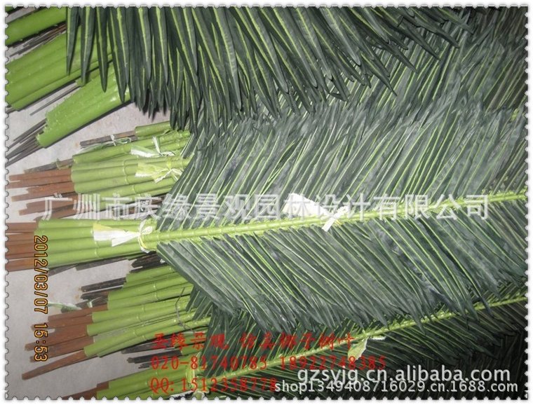 qq图片20130614101704