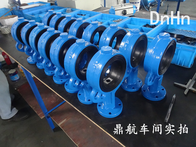 DSC00743_副本_副本