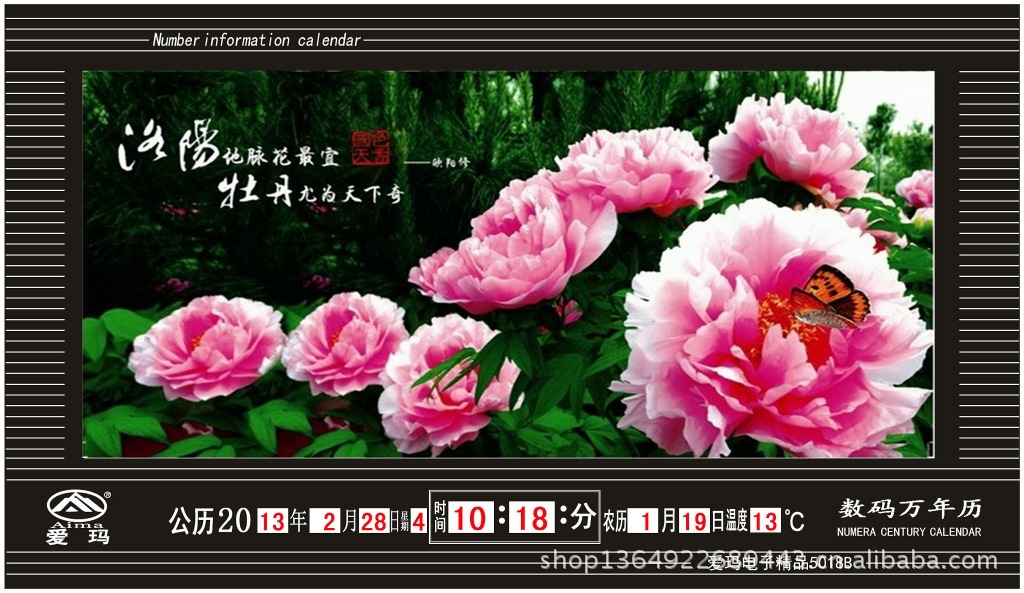 22352236洛陽牡丹