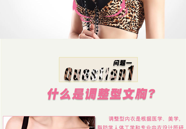 <em>文胸</em>-正品新款<em>文胸</em>豹纹小<em>胸罩带精油水袋</em>聚拢
