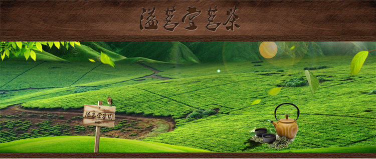 青茶 茶叶厂家 消脂油切黑乌龙茶 包邮  全场买就送茶叶