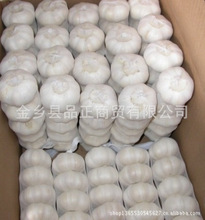 库存大蒜_库存大蒜价格_优质库存大蒜批发\/采